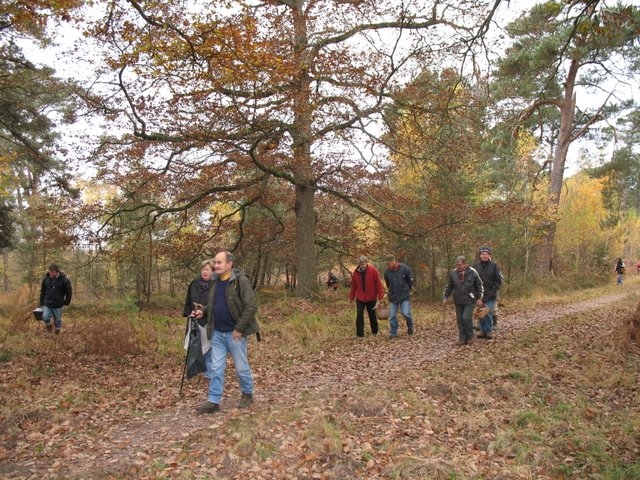 2007 11 Myco poteau des Quenouilles 07